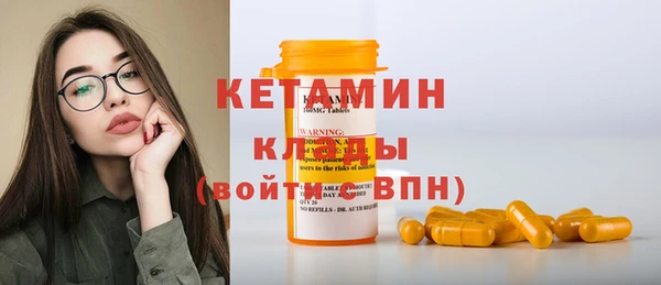шишки Гусиноозёрск